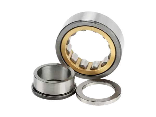 Rodamientos de rodillos cil&iacute;ndricos de una hilera y sin jaula